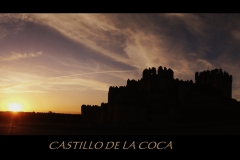 CASTILLO DE LA COCA
