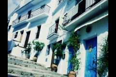 FRIGILIANA