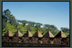 DESDE LAS MURALLAS DE JEREZ DE LOS CABALLEROS