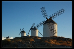 MOLINOS EN LINEA