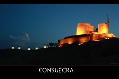 CASTILLO Y MOLINOS CONSUEGRA