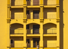 Panal amarillo arco