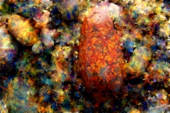 LAS VENAS DE LAS PIEDRAS